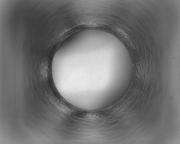 X0000074950596200609221733