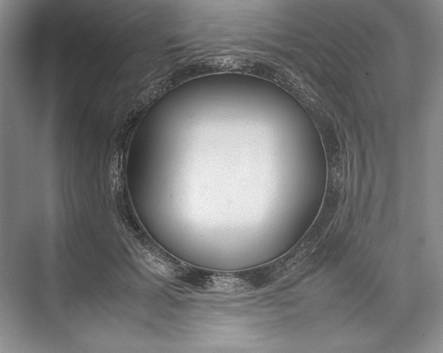 X0000074950605200609221733