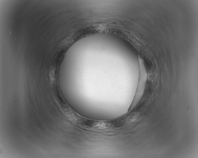 X0000074950611200609221733