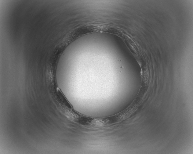 X0000074950613200609221733