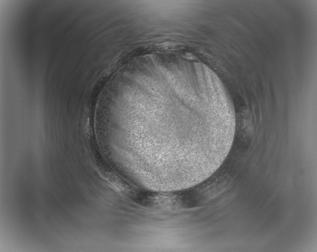 X0000074950615200609221733