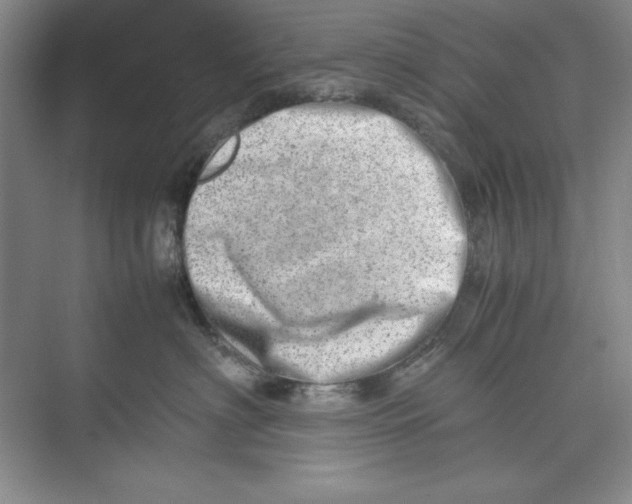 X0000074950622200609221733