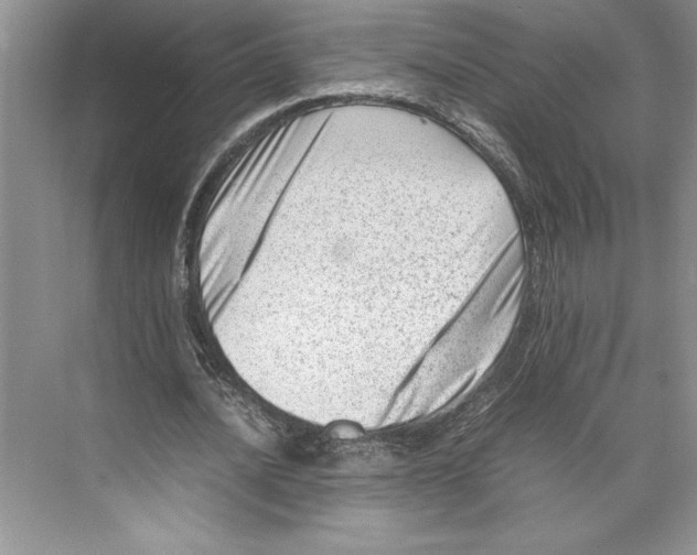 X0000074950628200609221732