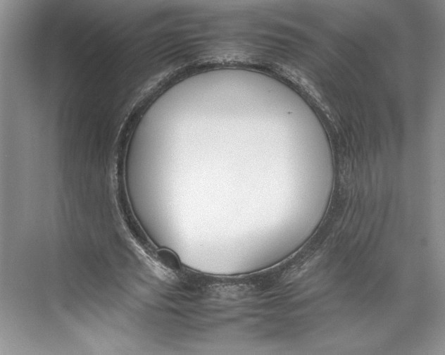 X0000074950629200609221732