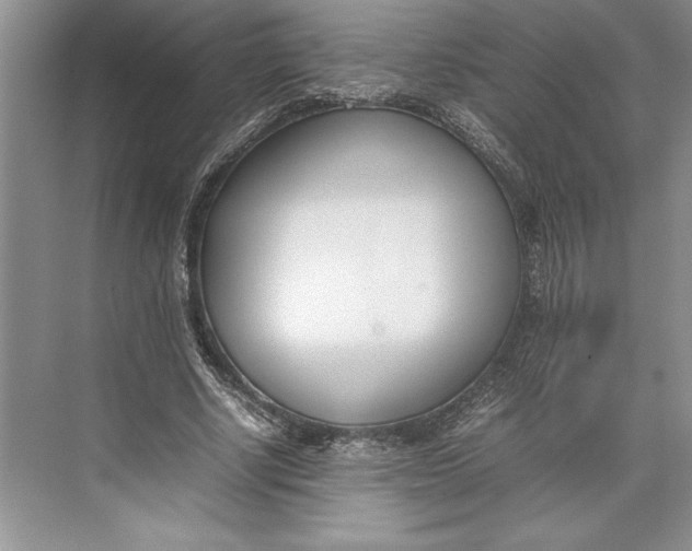 X0000074950634200609221732