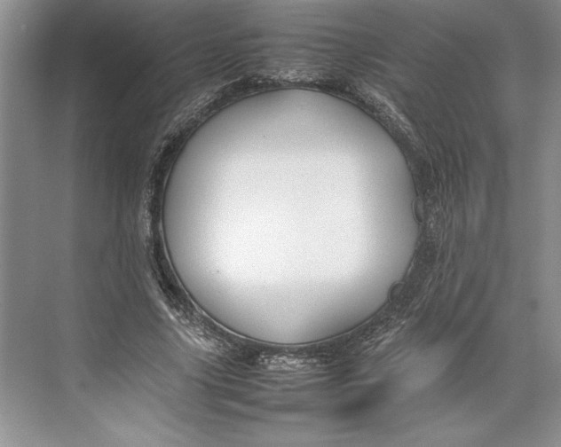 X0000074950635200609221732