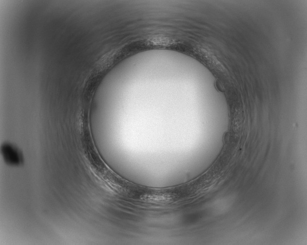 X0000074950639200609221732