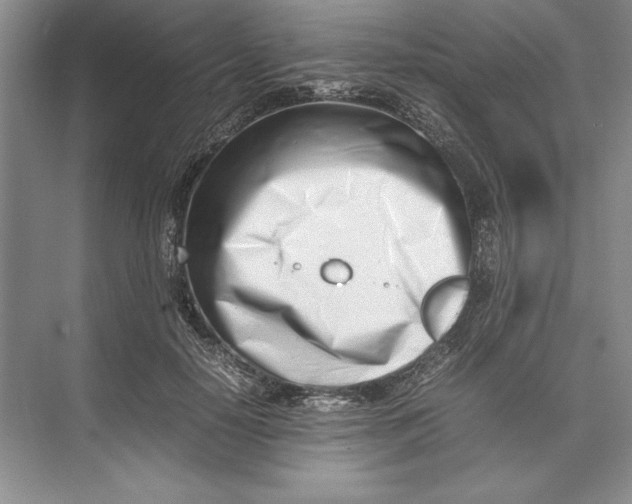 X0000074950650200609221732
