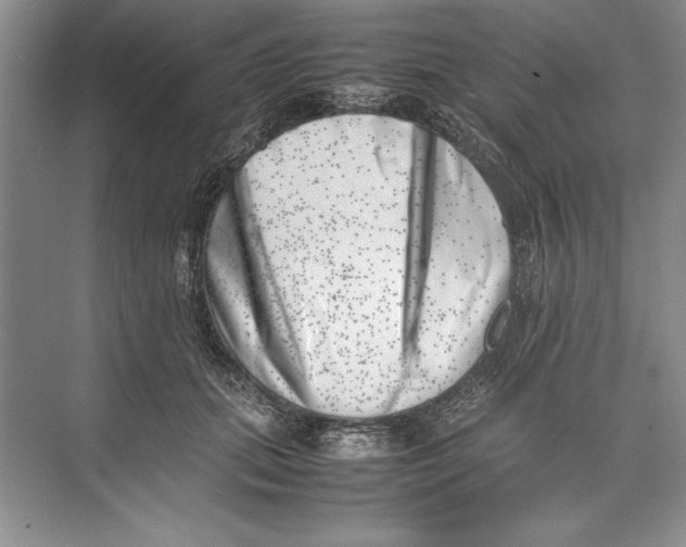 X0000074950655200609221732
