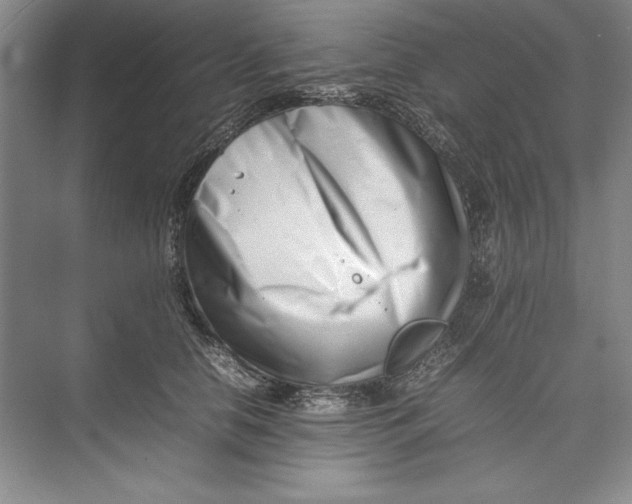 X0000074950658200609221732