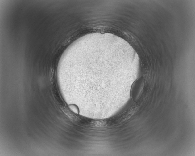 X0000074950660200609221732
