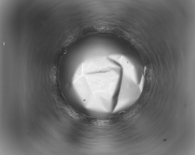 X0000074950664200609221732