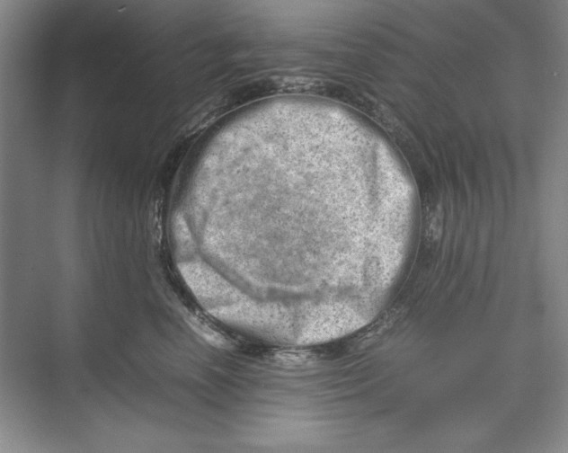 X0000074950666200609221732