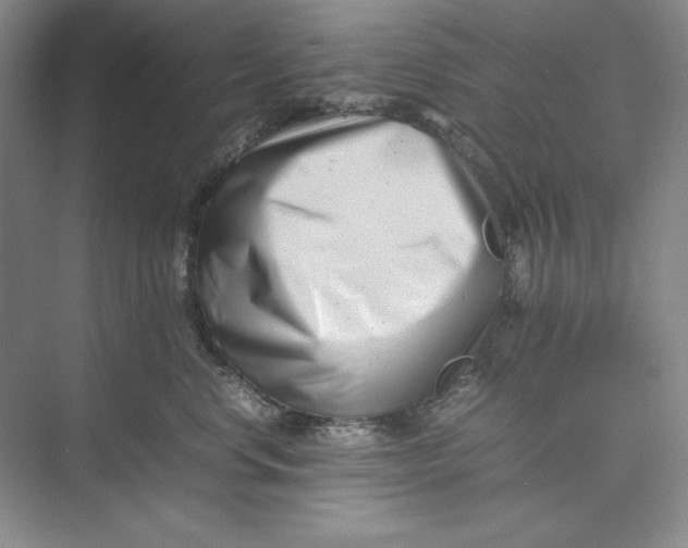 X0000074950668200609221732
