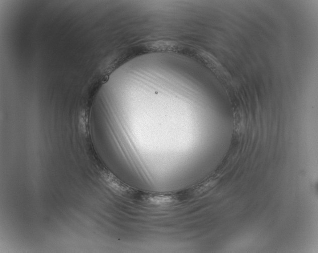 X0000074950669200609221732