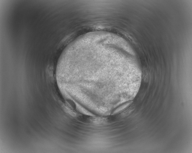 X0000074950670200609221732