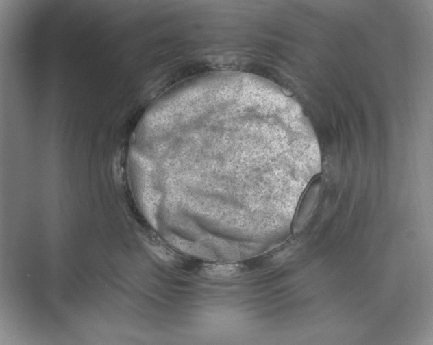 X0000074950671200609221732
