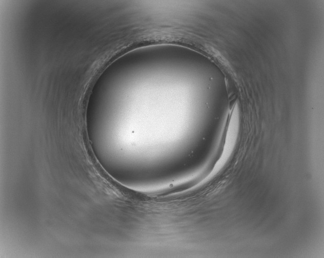 X0000074950673200609221732