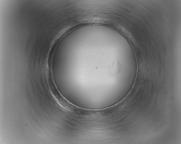 X0000074950674200609221732