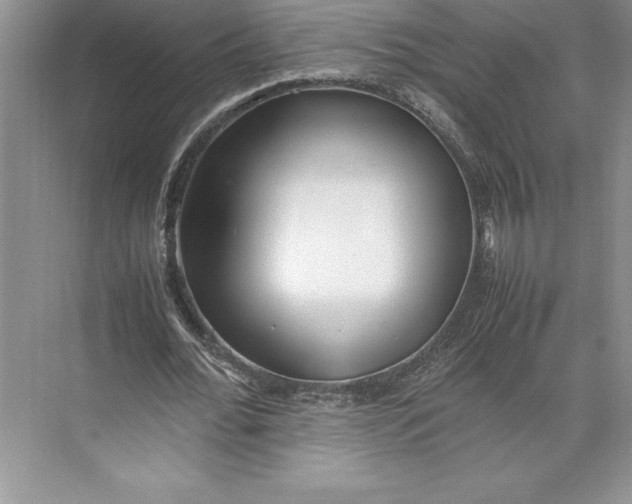 X0000074950676200609221732