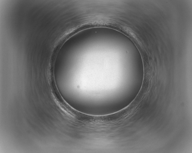X0000074950677200609221732