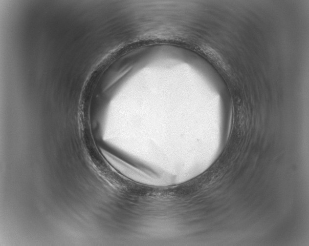X0000074950680200609221732