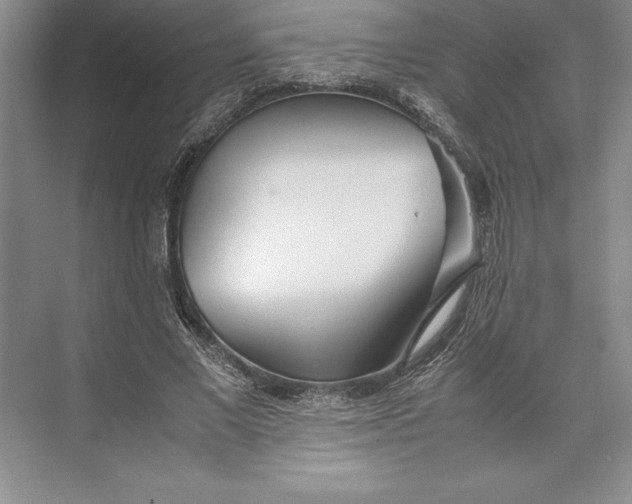 X0000074950685200609221731