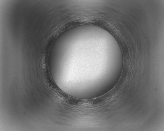 X0000074950689200609221731