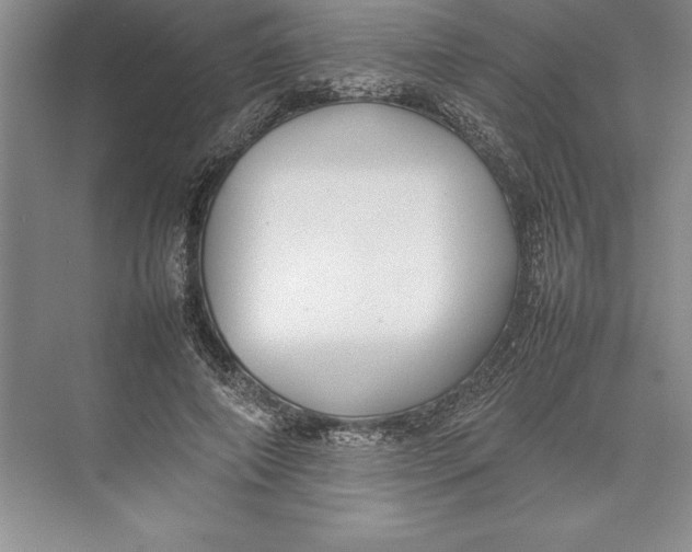 X0000074950690200609221731