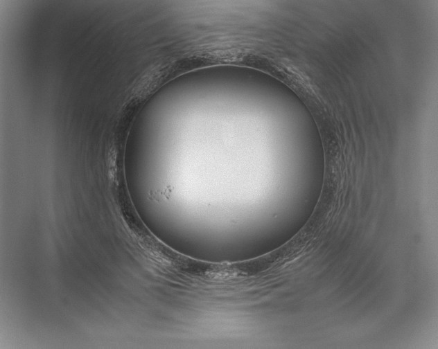X0000074950693200609221731