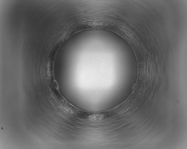 X0000074950700200609221731