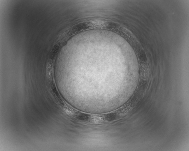 X0000074950701200609221731