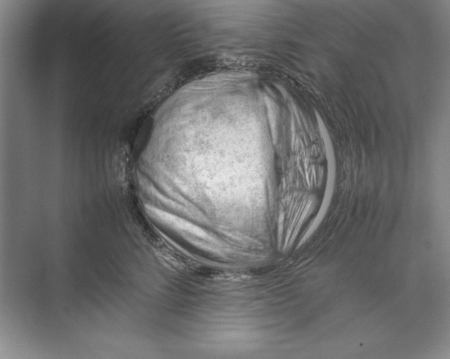 X0000074950712200609221731