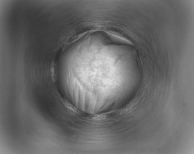 X0000074950720200609221731