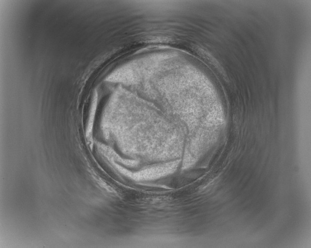 X0000074950721200609221730