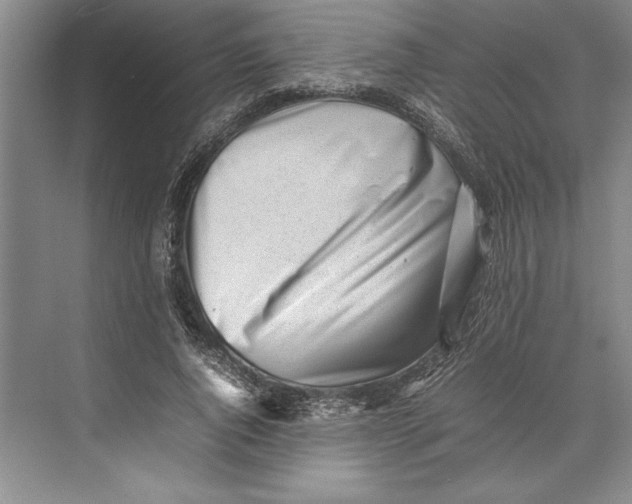 X0000074950736200609221730
