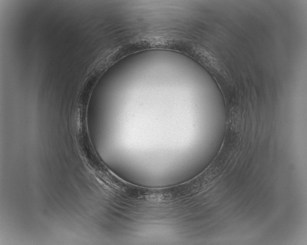 X0000074950740200609221730