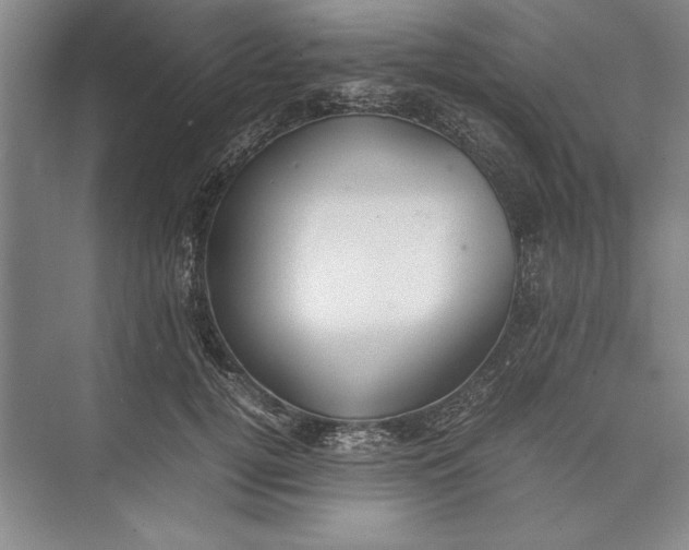 X0000074950752200609221731