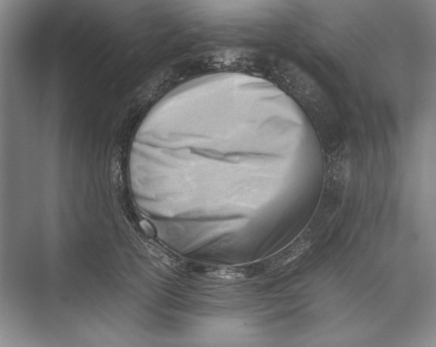 X0000074950754200609221731