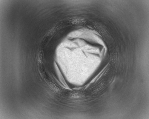 X0000074950755200609221731