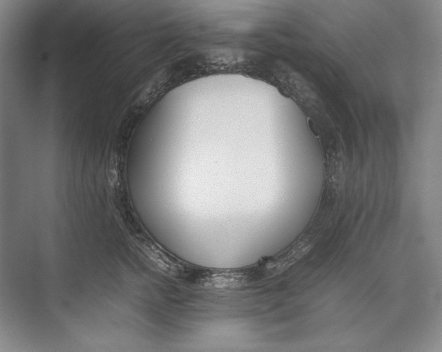 X0000074950758200609221731