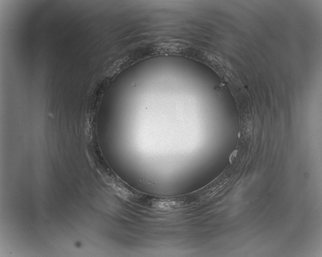X0000074950759200609221731