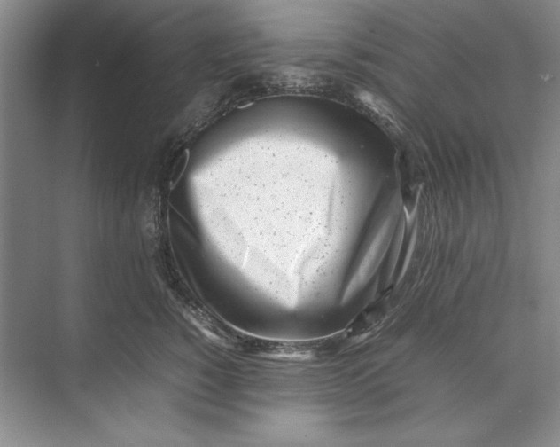 X0000074950760200609221731