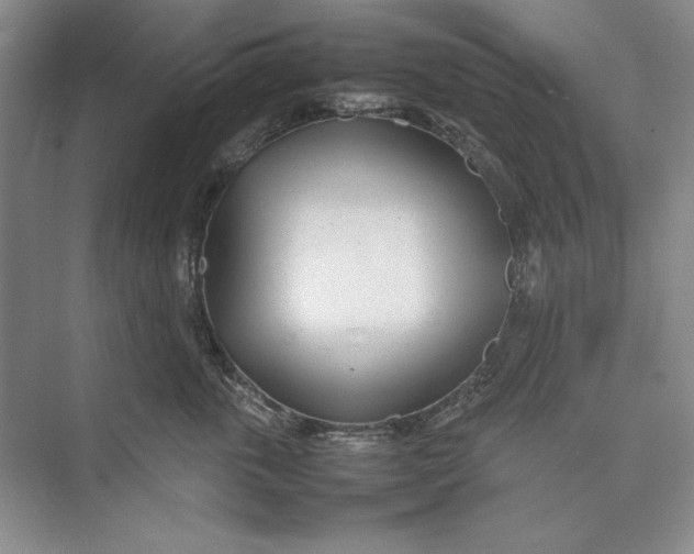 X0000074950763200609221731