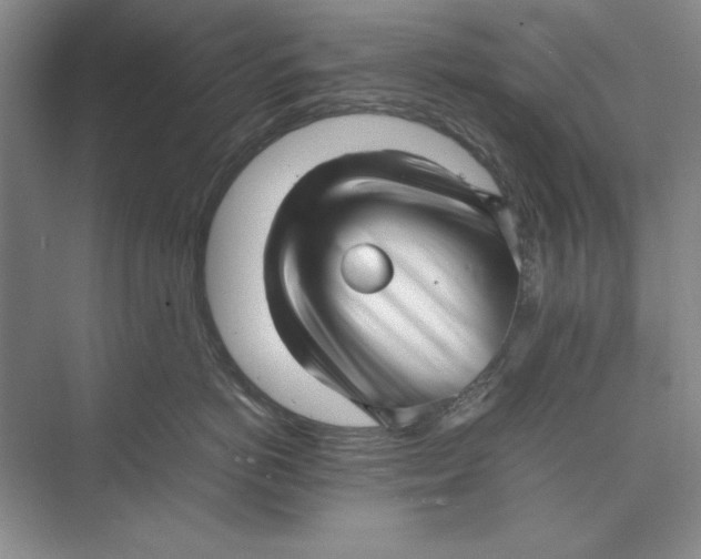 X0000074950766200609221731