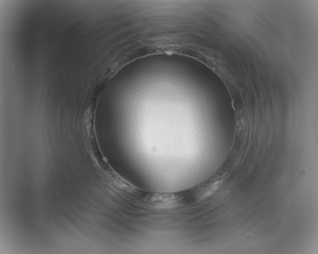X0000074950767200609221731