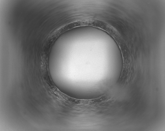 X0000074950773200609221730