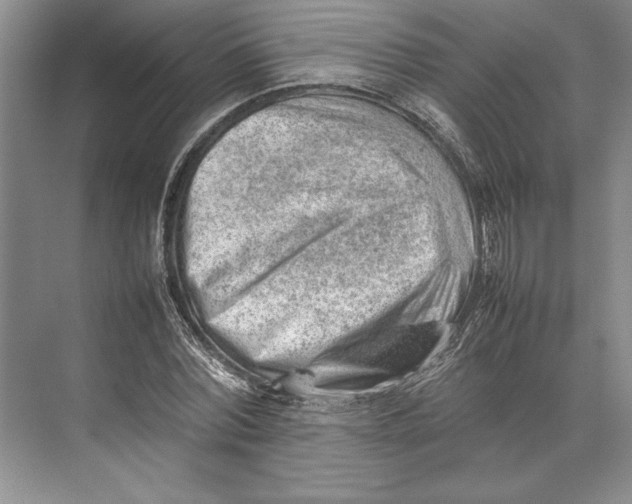 X0000074950780200609221730