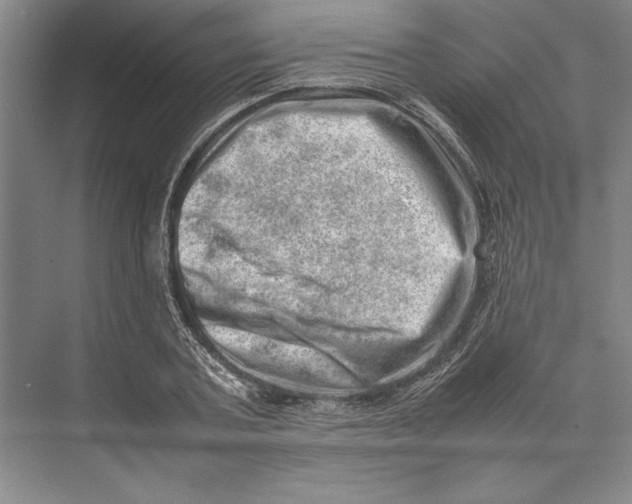 X0000074950787200609221730