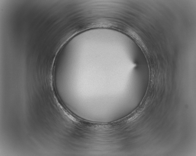 X0000074950802200609221729